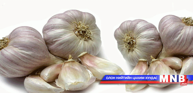 Сармис амьсгалын замын халдварт өвчинд тустай