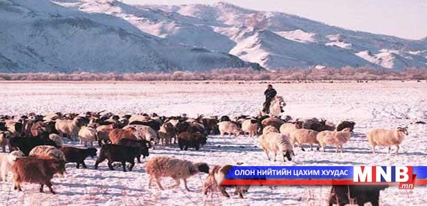 Залуу малчдын зөвлөлгөөн болно
