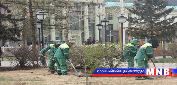 25000 ширхэг мод тарилаа