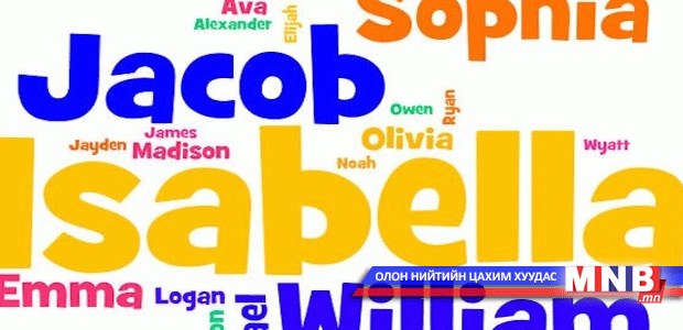 2013 онд хамгийн ихээр сонгосон нэрс