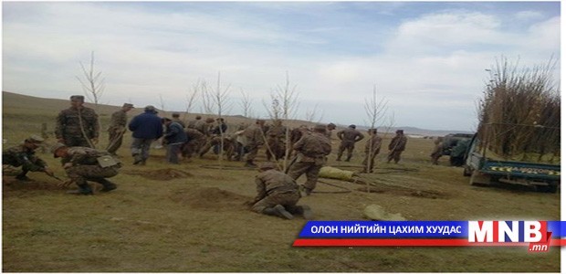 Голын дагуух ногоон зүлгэн дээр мод тарьж байгаа нь иргэдийн бухимдлыг төрүүллээ