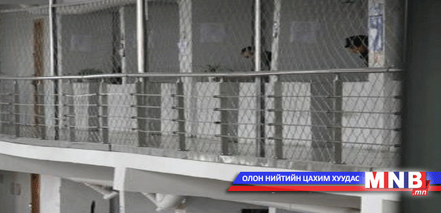 Хүмүүжигч цалингаа хүүхдийн сувилалд хандивлалаа