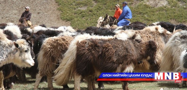 "Сарлагийн баяр" боллоо