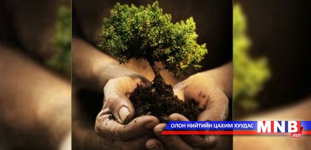 Хүү багатай “Жижиг, дунд бизнесийн зээл” рүү хошуурах болжээ