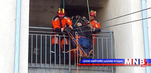 “Говийн мазаалай” сургалт болно