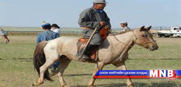 Талбайд хашуулсан мал аюулд ороод байгаа талаар малчид гомдоллов