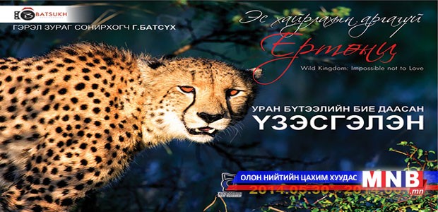 “Эс хайрлахын аргагүй ертөнц”-д морилоорой