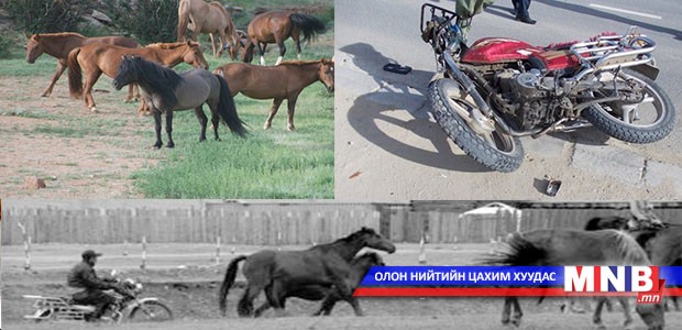 Аргамаг хулаа аюулт унаагаар солиод бид хожив уу
