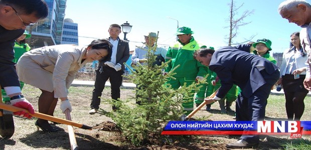 160 гаруй мянган мод тарилаа