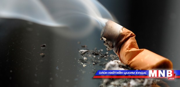 Тамхины хяналтын тухай хуульд нэмэлт, өөрчлөлт оруулахыг зарчмын хувьд дэмжлээ