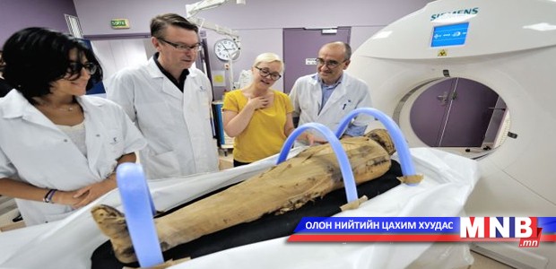 Египетийн эртний шарилаас матрын чулуужсан яс олджээ