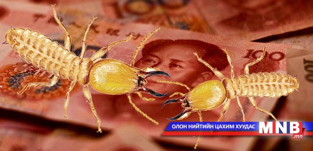 Морин шоргоолжууд 65 мянган юаниар найрлажээ