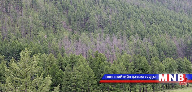 19 га-д цэвэрлэгээний огтлолт хийнэ