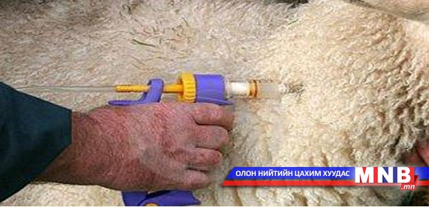Малын эм нийлүүлдэг компаниуд шалгалтад уналаа
