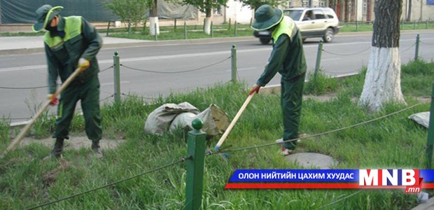 Залуучуудын өргөн чөлөө цэцгэн гоёлоо зүүнэ