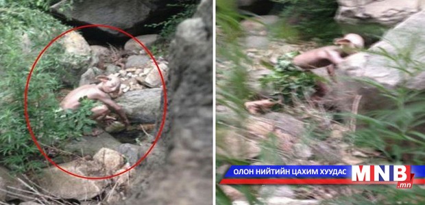 “Бөгжний эзэн” дээр гардаг “мангас” олдов
