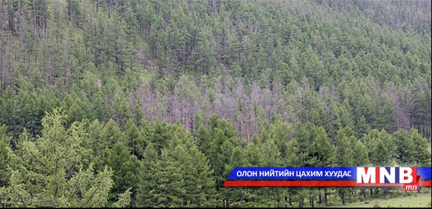 Хил орчмын бүс нутгийг ой хээрийн түймрээс хамгаална