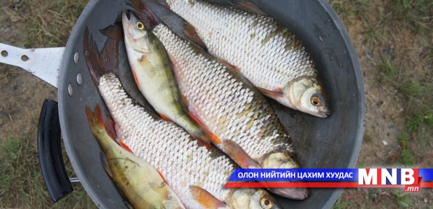 Хориотой хугацаанд загасчилбал 8-34 мянган төгрөгөөр торгоно