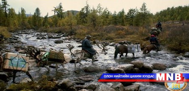 Цаан сүрэг төллөж дууслаа