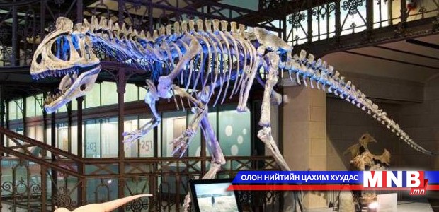Хууль бусаар гаргасан үлэг гүрвэлийн олдворуудыг буцаан авах боломжтой боллоо