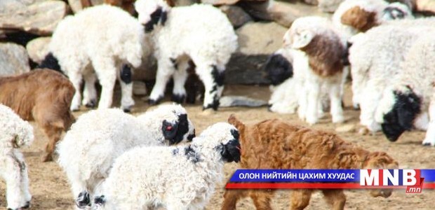 Улаанбадрах сумд үүсээд буй асуудалд гишүүд хэрхэн анхаарч байна вэ?