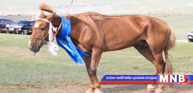 Улс халзан азарга дуунд мөнхөрлөө
