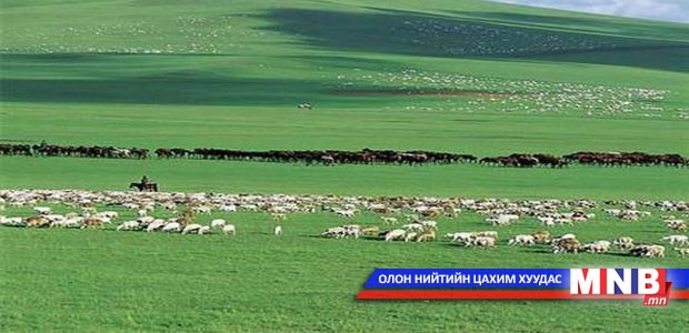 Малыг уламжлалт аргаар хариулах зөвлөмж гаргалаа