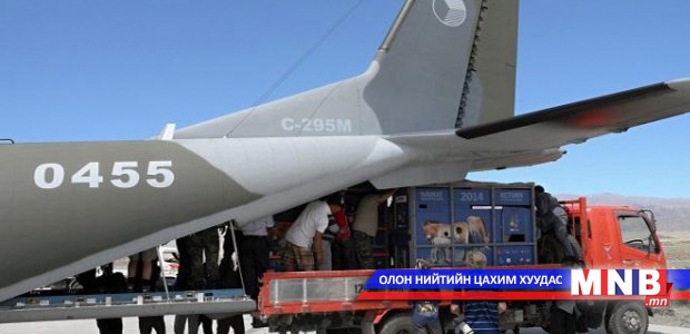Монгол тахь нутагтаа ирсээр байна