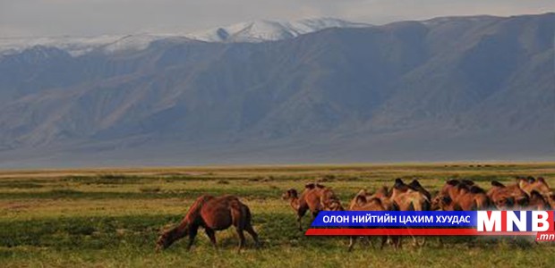 Домогт баатруудын өлгий нутгаар...