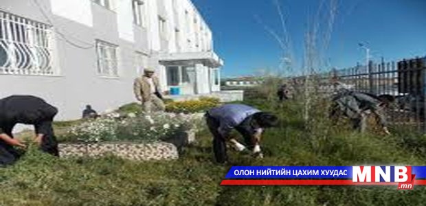 Шарилжийг зөв тайрвал ор мөргүй устдаг