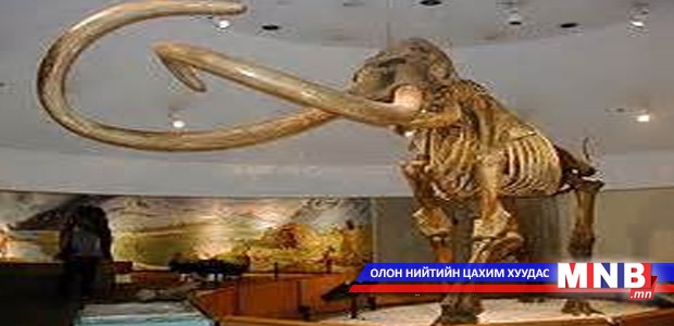 Арслан зааныг эртний хүмүүс устгажээ