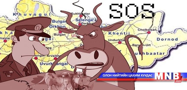 Он гарсаар мал, амьтны гоц халдварт өвчний 60 гаруй тохиолдол бүртгэгдлээ /II хэсэг/