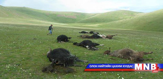 Айлын хотонд аянга бууж, их хэмжээний хохирол учруулжээ