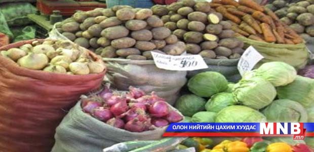 Шинэ ургацын ногоонд хяналт тавьж байна