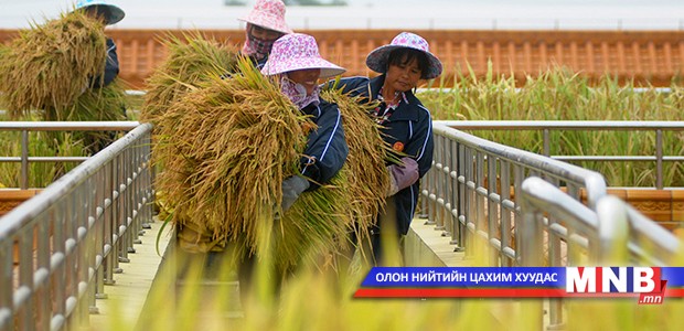 Генийн өөрчлөлттэй бүтээгдэхүүн үйлдвэрлэхээ зогсоолоо