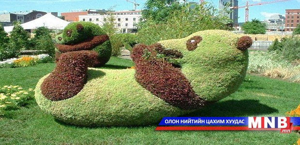 Цэцэрлэгт хүрээлэн дэх сонирхолтой бүтээлүүд