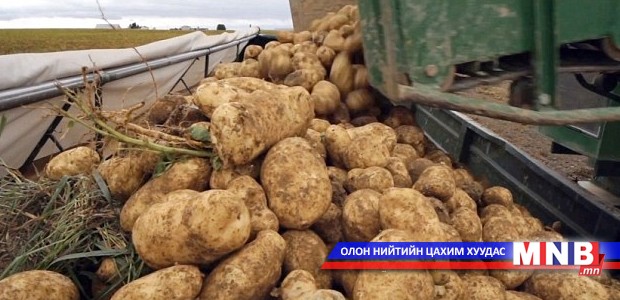 Төмс боловсруулах үйлдвэр барина