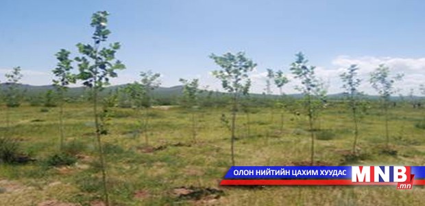 "Эко банк"-тай боллоо