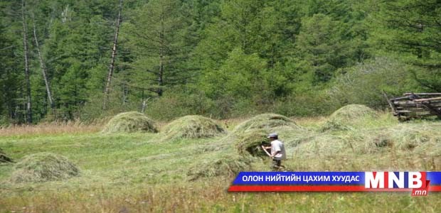 Шивээ их ургаснаас болж түймэр гарчээ