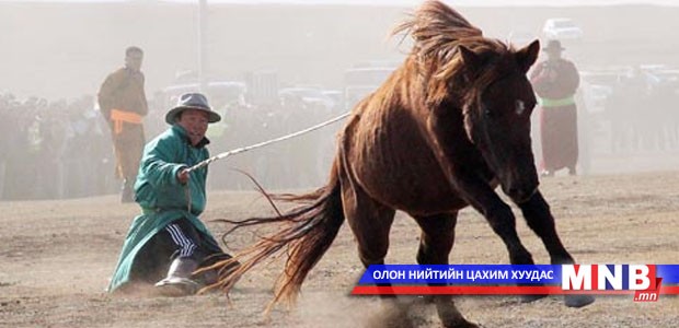 “Адуучин-2014” наадам болно