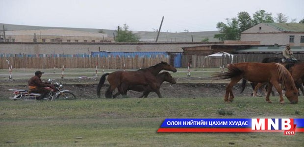 Морь унаж мал маллах нь эрсдэлгүйг сануулж байна