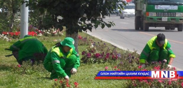 Нийслэлийн цэцэрлэгчид Япон Улсад мэргэжил дээшлүүлнэ