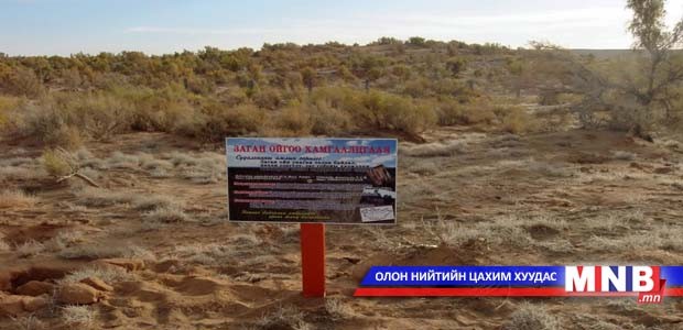 Устаж сүйдсэн загийн ойг хэн нөхөн сэргээх вэ
