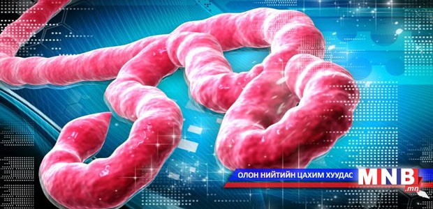 Эбола цусархаг халууралт өвчний тухай