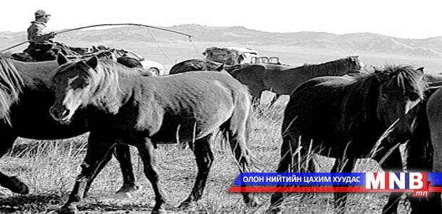 Малын хулгайг таслан зогсооно