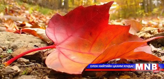 “Цээжинд өнжих намар...” өгүүлэмж
