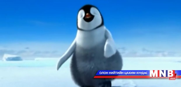 Бүжигчин оцон шувуу