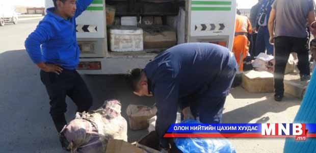 Хот хоорондын автобусанд тарваганы мах тээвэрлэж явжээ