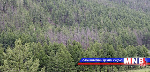 Төрөөс ойн талаар баримтлах бодлоготой болно