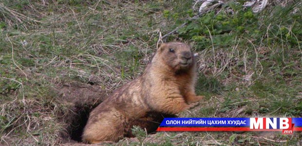 Сант суманд тогтоосон хөл хориог маргааш цуцлана